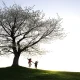 Family Tree Now: How to Discover Your Ancestry and Build Your Family History