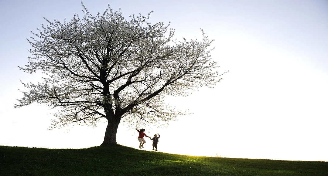 Family Tree Now: How to Discover Your Ancestry and Build Your Family History