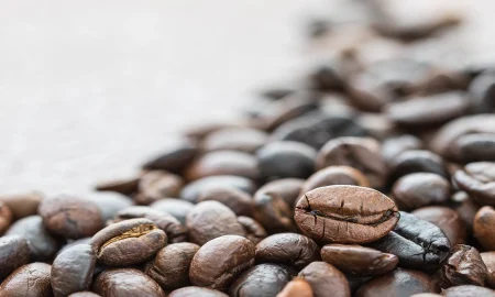 How Caffeine's Primary Metabolite Diverges From Its Parent Compound