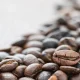 How Caffeine's Primary Metabolite Diverges From Its Parent Compound