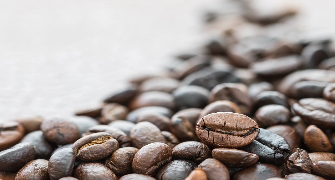 How Caffeine's Primary Metabolite Diverges From Its Parent Compound