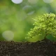 How Environment Shapes Long-Term Recovery