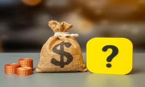 State Farm Customer Dividend Payments: The Direct Question ?