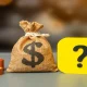 State Farm Customer Dividend Payments: The Direct Question ?