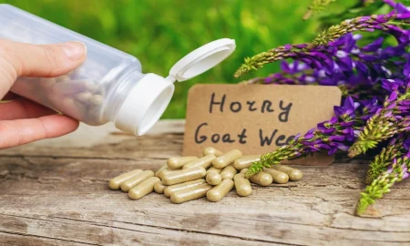 Why Herbal Formulas Are a Safe Alternative for Mares 
