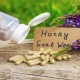 Why Herbal Formulas Are a Safe Alternative for MaresÂ