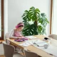 How to Create a Better Homework Space With Natural Light