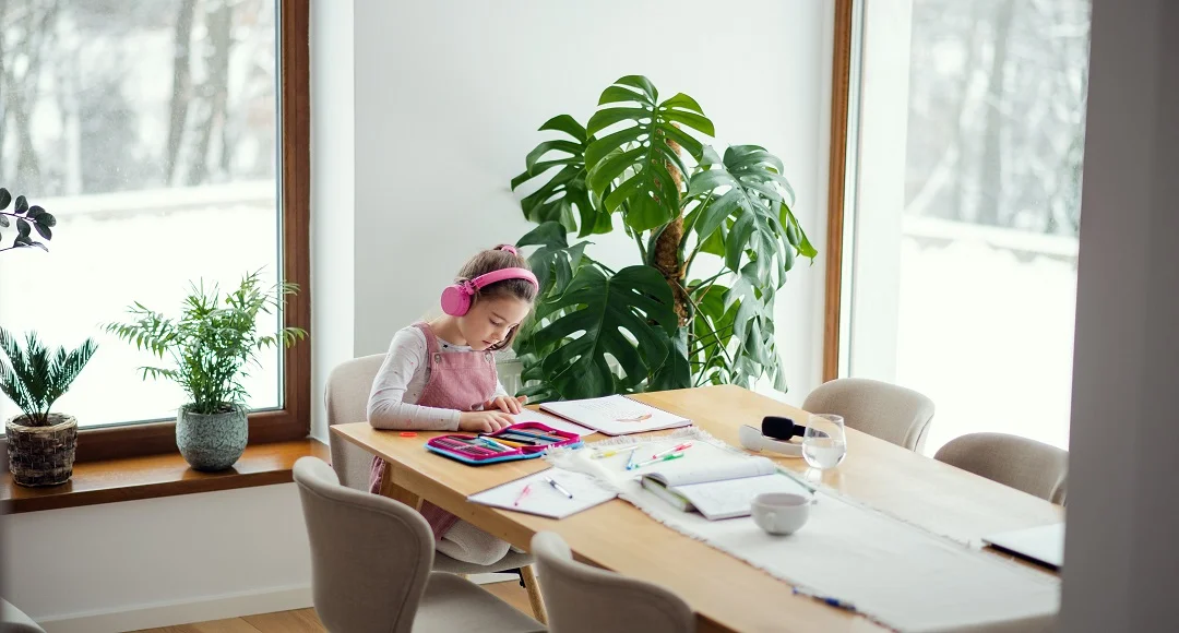 How to Create a Better Homework Space With Natural Light