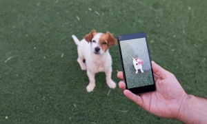 How to Make a Realistic Pet Story With an AI Video Generator