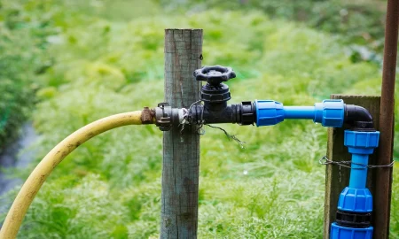 How to Measure and Manage Water Usage in Your Garden Irrigation System
