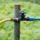 How to Measure and Manage Water Usage in Your Garden Irrigation System