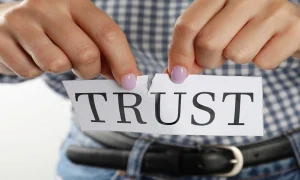 Brumeblog com: Explained What It Publishes & Can You Trust It?
