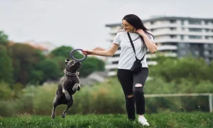 Fetch vs Pets Best Which Pet Insurance Actually Covers What Your Pet Needs in 2026