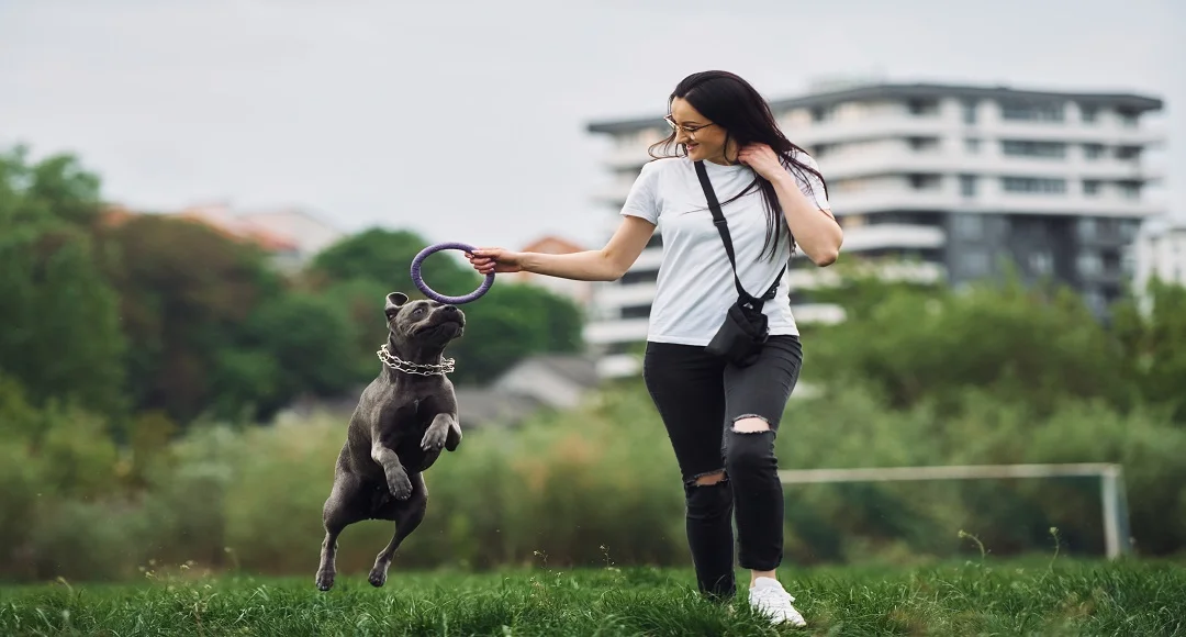 Fetch vs Pets Best Which Pet Insurance Actually Covers What Your Pet Needs in 2026